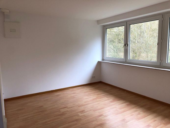 Bonito apartamento de 2 habitaciones en Kusel, incluidos gas y electricidad – Wohnzimmer Bild I