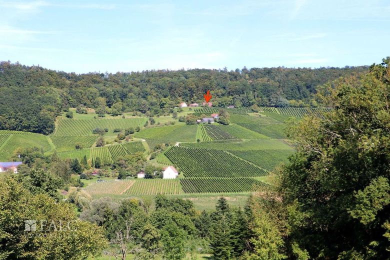 Charmantes Anwesen in einzigartiger Lage sucht Liebhaber! - FALC Immobilien Öhringen – Mitten in den Weinbergen