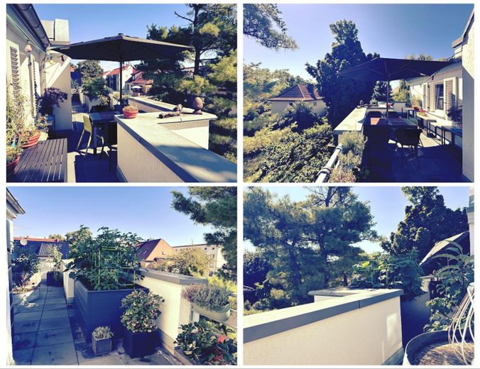 all-inclusive - Penthouse im Grünen (ohne Provision, inkl. Kfz-Stellplatz) – Foto 8