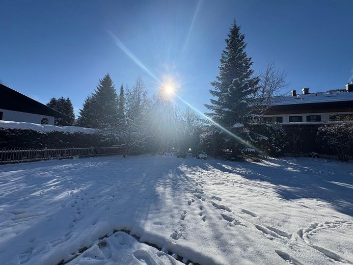 Winterimpressoin Garten