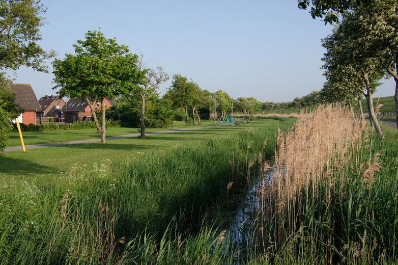 Parkanlage in 200m Entfernung
