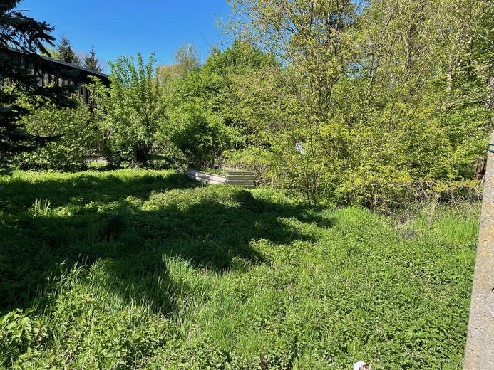 Garten hinter Scheune 2