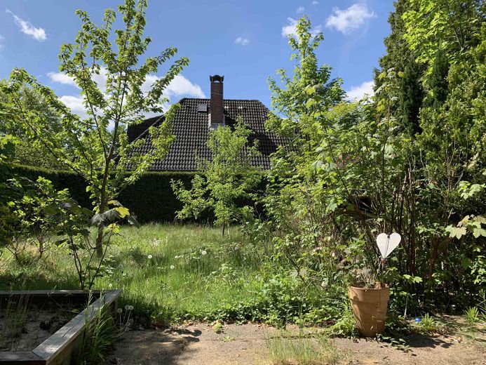 Terrassenblick
