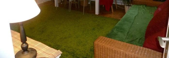 Bel appartement citadin meublé – en sous-location