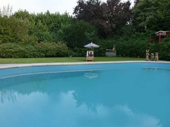 Garten mit Pool