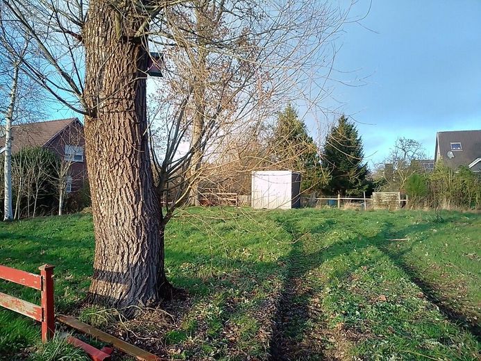 Exquisites Baugrundstück inkl. Baugenehmigung für einen Designer Bungalow mit ca. 77 qm Wohnfläche – 8 - Baucontainer