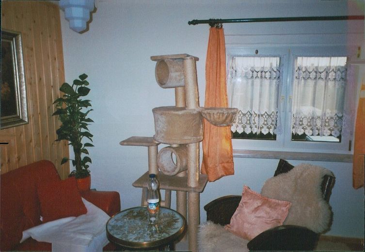 Zwickau, EFH – Foto 8