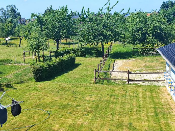 Blick vom OG auf die Obstwiese