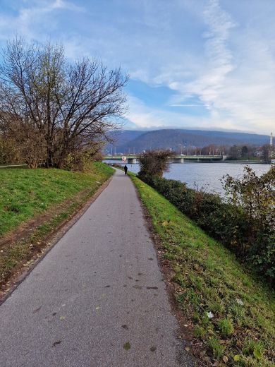 Möblierte 1 Zimmer Wohnung mit PKW-Stellplatz! Nur für Studenten/innen oder Angestellte der Uni HD! – Neckar -  3 Minuten zu Fuß