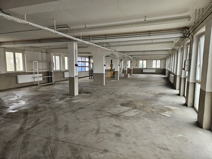 großzügige Gewerbefläche 431qm – Foto 5