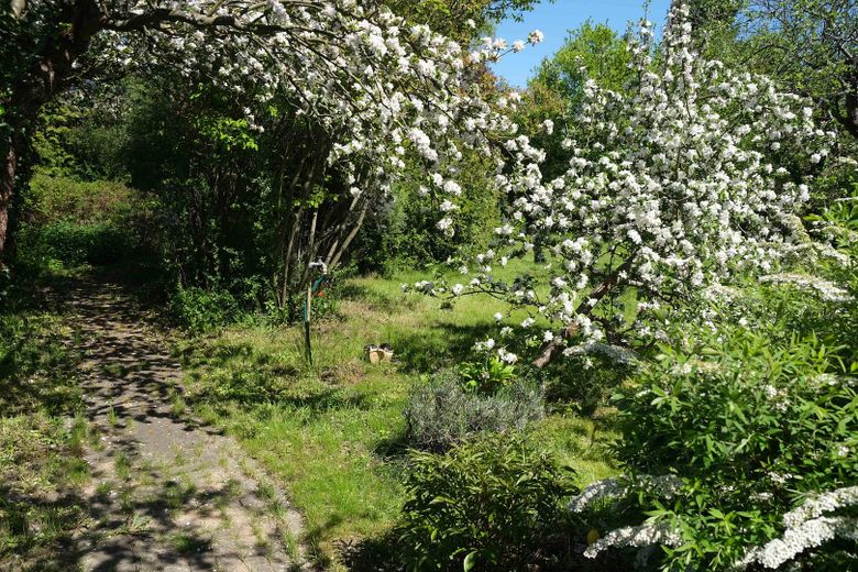 Grundstück mit Steinbungalow – Eingang