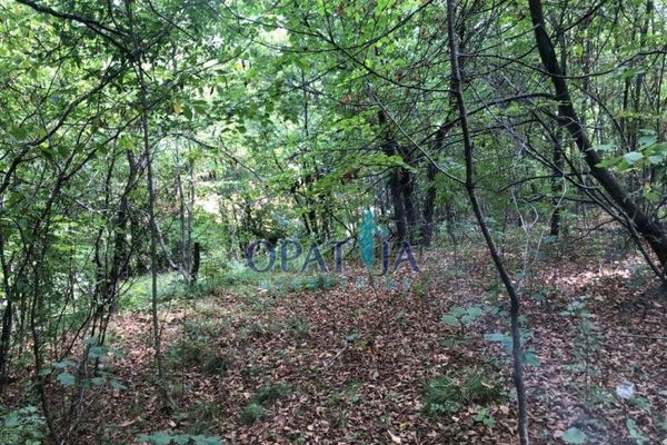 Lands Zvoneća, Matulji, 4.633m2