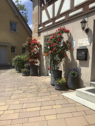 Fachwerk trifft Sandstein: Ein Haus mit Charakter und großzügigem Raumangebot – Vorderseite