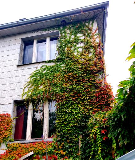 Grande giardino con casa a tre piani presso l’ippodromo di trotto Mariendorf, Berlino – Photo 9