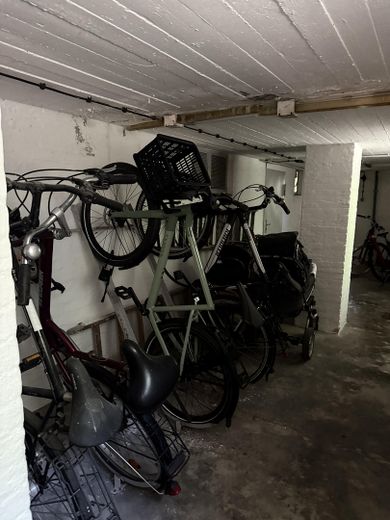 Fahrrad Keller 