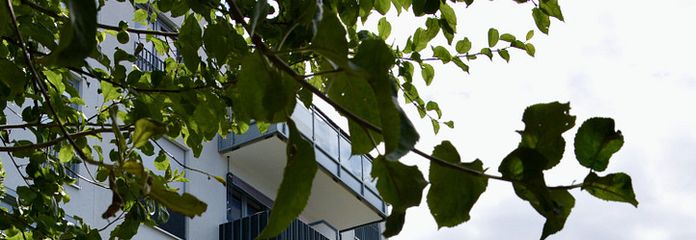 hintere Hausansicht
