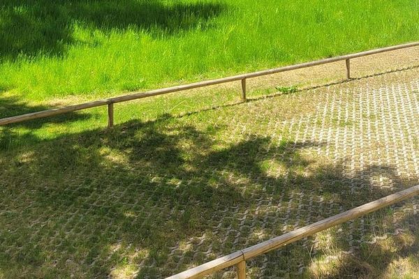 Jasne, słoneczne mieszkanie 3-pokojowe z dużą częścią dzienno-jadalnianą, bez prowizji