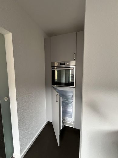 Sanierte 1 Zimmer-Wohnung mit Terrasse in der Altstadt – Backofen und Kühlschrank