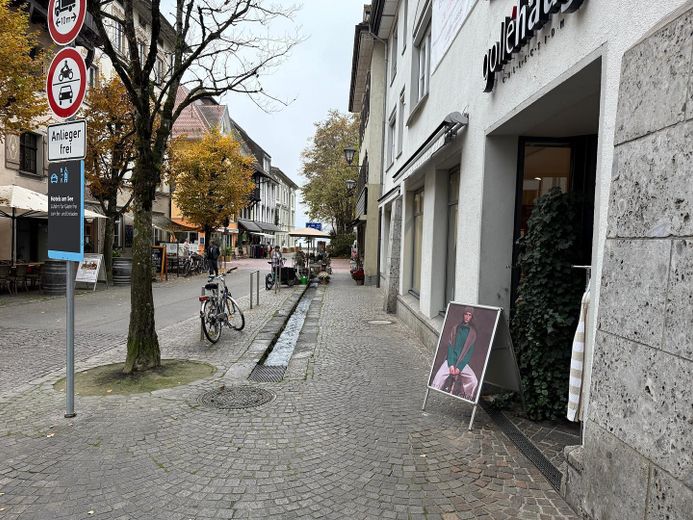 Kernsanierte Wohnung in bester Lage von Überlingen - Seenah, Barierefrei, Terrasse – Weniger Meter bis zum See 