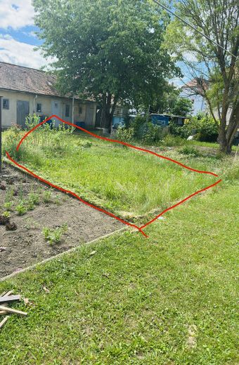 Eigener Garten