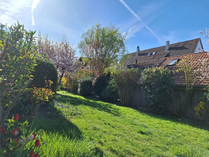 Gemeinschaftlicher Garten