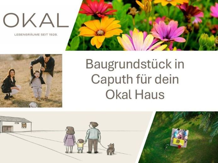Dein OKAL-Haus in Caputh - naturnah zwischen Wasser, Wald und Potsdam – Foto 1