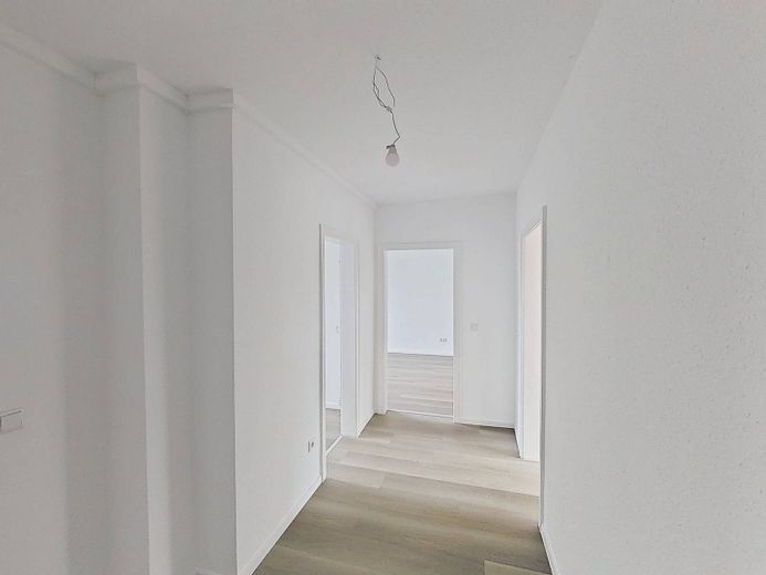 Lichtblick gesucht? Sonnige 2-Zimmer-Wohnung mit Balkon – Foto 12