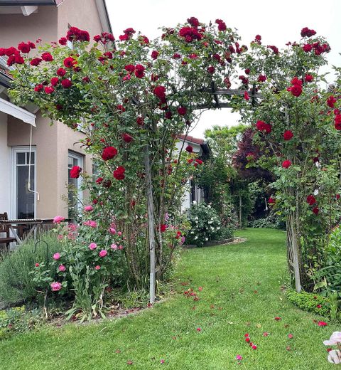 Gartenimpressionen 