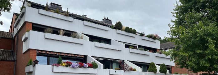 Rückansicht mit Terrassen