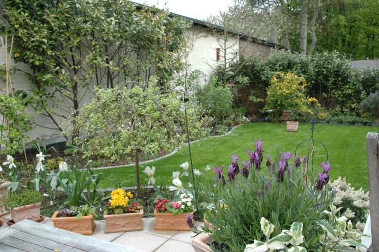 barrierefreie Wohnung mit eigenem Garten von privat, Preis VB – der Garten