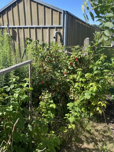 Freizeit Grundstück – Foto 12