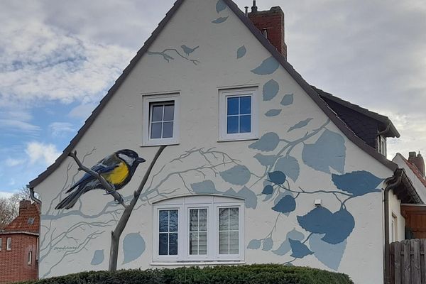 Einfamilienhaus mit Garten
