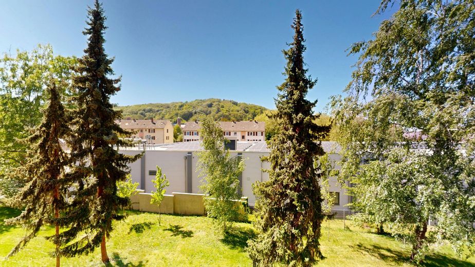 Volledig gerenoveerd 3-kamerappartement met loggia – Landstuhl – Foto 10