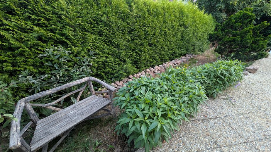 Baubiologischer, moderner Wohntraum in Top-Lage  · Chemnitz - Glösa-Draisdorf – Ansicht Garten
