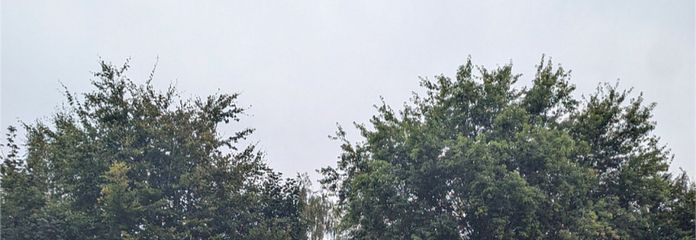 Garten mit Häuschen