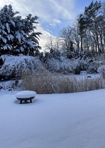 Repräsentative Premium-Villa auf 2.300 qm Parkgrundstück in bester Lage von Glienicke – Winter Impression 
