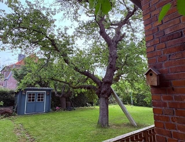 PROVISIONSFREI: Charmantes EFH in zentraler, ruhiger Anliegerstraße – Garten, rechts d. Kellerabgang