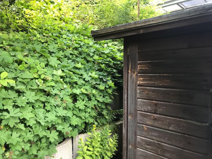 Kleine Traumwohnung – Foto 8