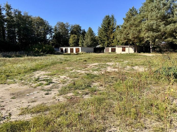 HORN IMMOBILIEN ++ Baugrundstücke in Eggesin – Grundstück