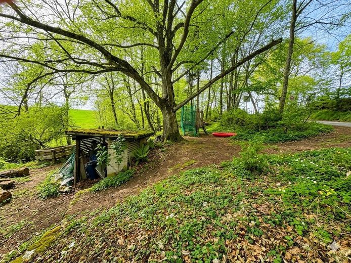 Waldgrundstück