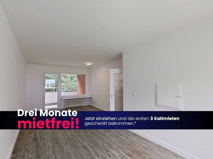 EINZIEHEN UND BIS ZU 3 KALTMIETEN SPAREN: Große 3-Zimmer-Wohnung mit BALKON und EBK in Kappeln-Ellenberg – Foto 1