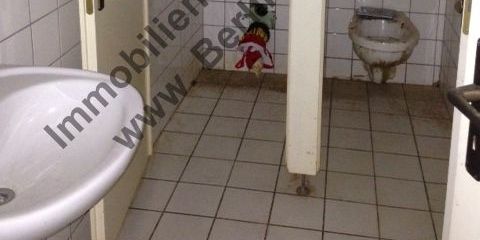 Foto11 5