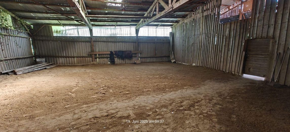 Longierhalle