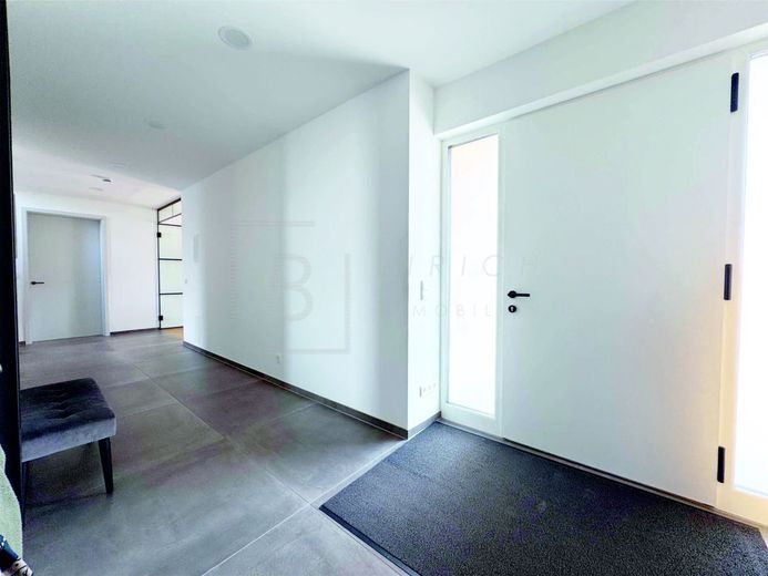 Moderne Stadtvilla mit hochwertiger Ausstattung, Smart Home &amp; PV-Anlage – Eingangsbereich