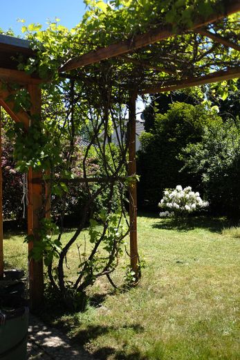 Casa a Thyrow (Trebbin) senza provvigione – Foto 24