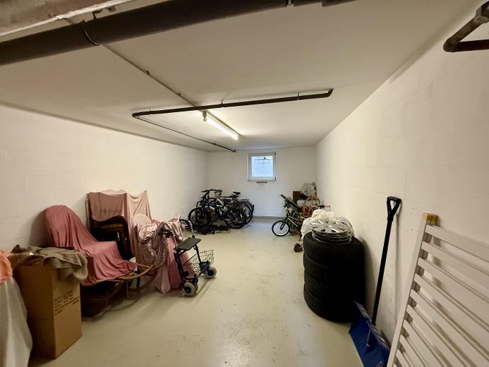 Yüksek kaliteli yenilenmiş 3 odalı çatı katı dairesi - Balkon ve Wilkau-Haßlau, Zwickau şehir sınırında sakin konum – Gemeinschaftskeller