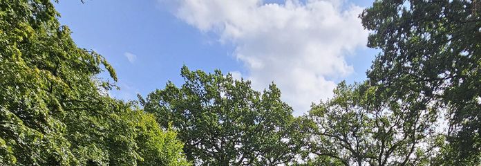 Grundstück in Lüdersburg – Das Grundstück