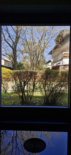 Blick aus Küchenfenster