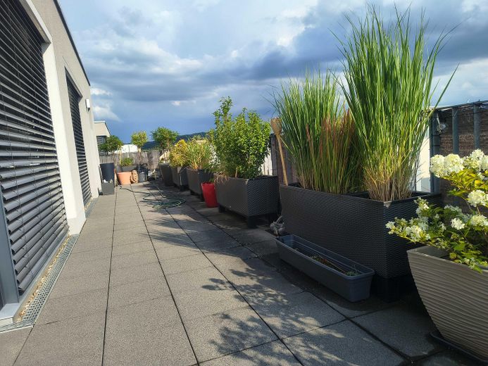 **Traumhafte Penthouse-Wohnung * Exklusiv, außergewöhnlich, hochwertig** – 19Dachterrasse