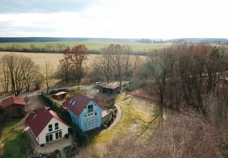 Blick ins Grüne Winter